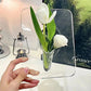 💐 50% RABATT!✨Estetik i nordisk stil Elegant Ins Fotoramme Vas