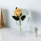💐 50% RABATT!✨Estetik i nordisk stil Elegant Ins Fotoramme Vas