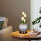 🌷 Elegant tulpanbukett-lampa – romantisk nattlampa för en varm hemmiljö